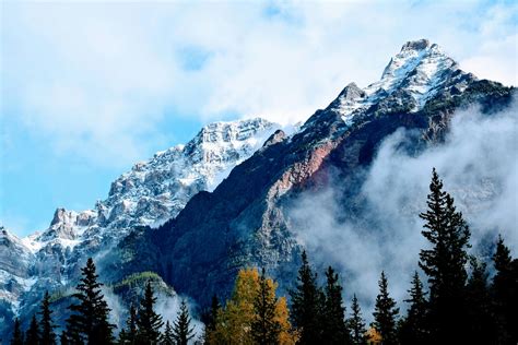 picturr|Free Stock Photos to Download .